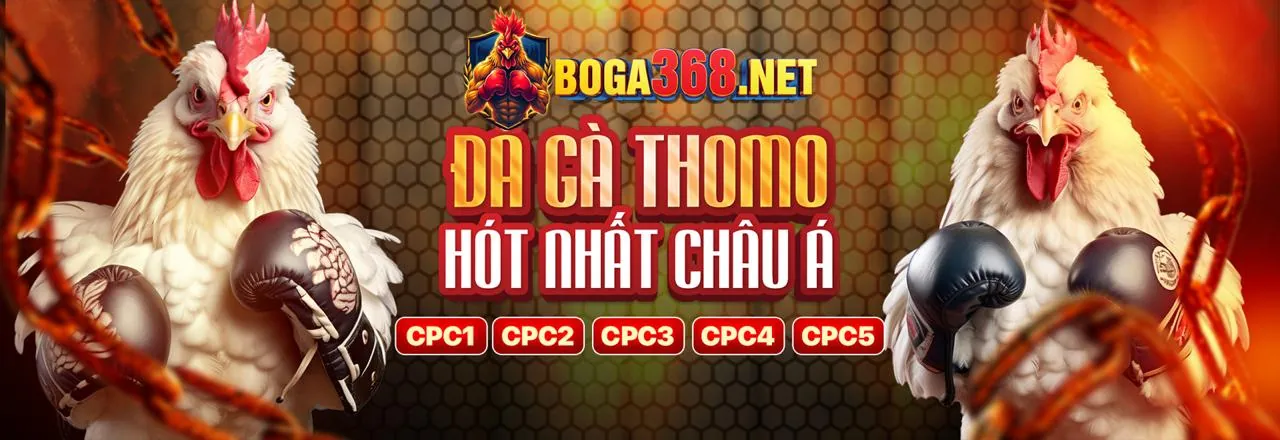 Hình ảnh thể hiện các đặc quyền VIP fbet88