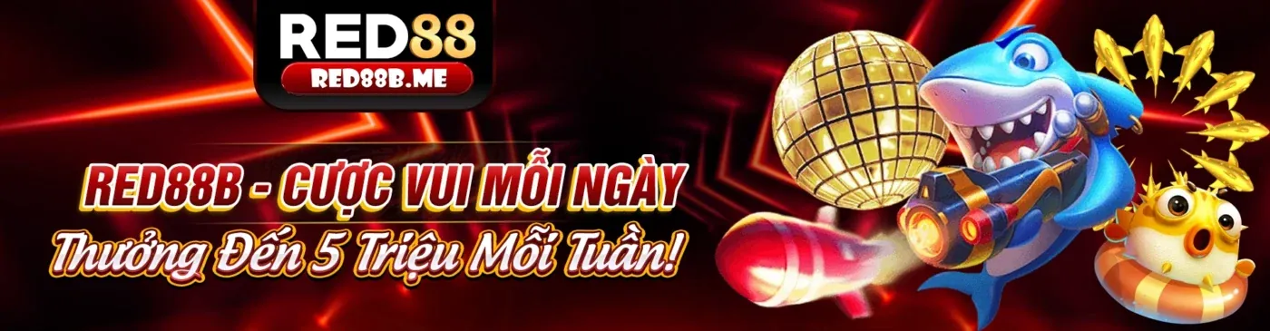 Các loại dữ liệu fbet88 thu thập