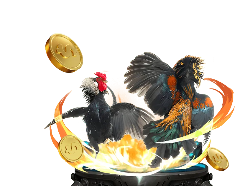 Cá cược quần vợt fbet88